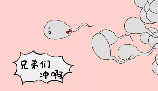 东莞长安输卵管造影怀孕?