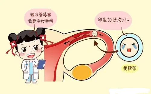 东莞长安输卵管不通做造影能通吗?